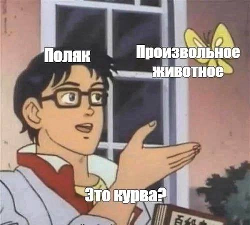 [@warmemic](https://t.me/warmemic) ***⬅️*** подписка