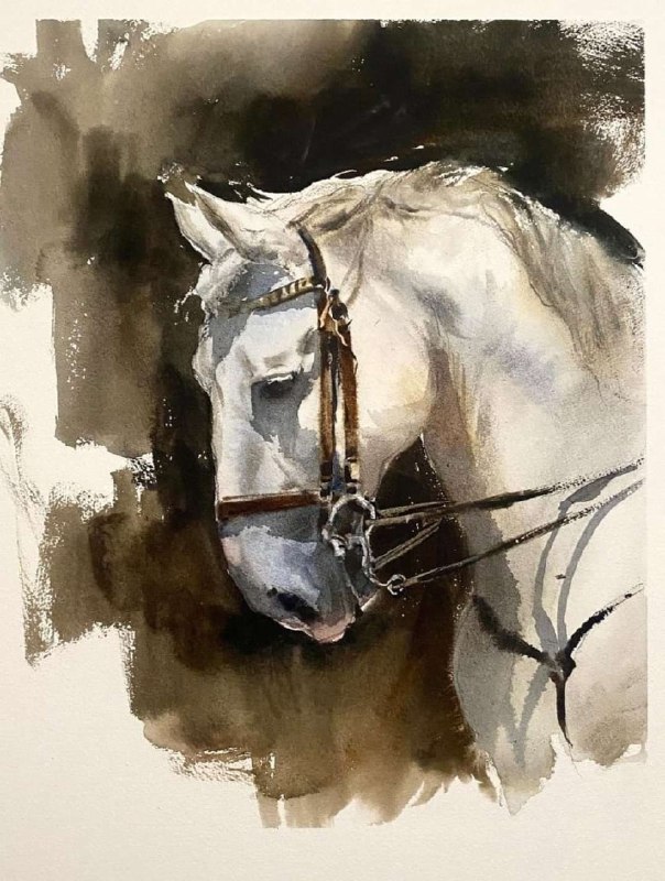 Watercolour/ Watercolor/Acquerello/ Акварель