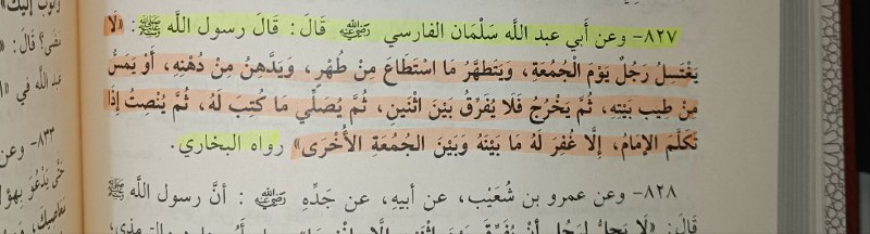 ﴿ إِنَّ اللَّهَ وَمَلَائِكَتَهُ يُصَلُّونَ عَلَى …