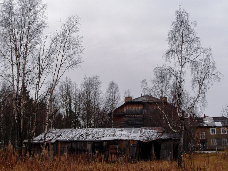 Камера, которая с собой