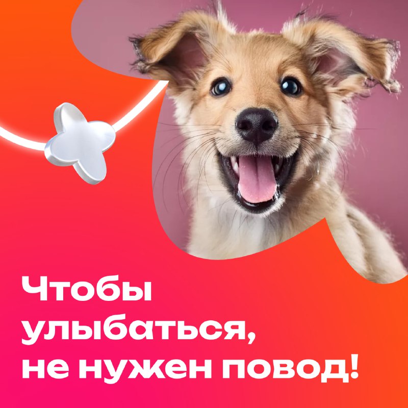 **Сегодня Всемирный день улыбки!**