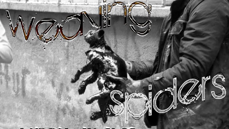Weaving Spiders Welcome Channel