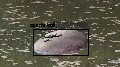 Detected: "sports ball" at [Kwa Maritane, …