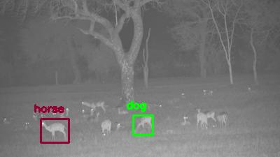 Detected: 'dog', 'horse' at [Nkorho](https://www.africam.com/wildlife/nkorho-live-wildlife-channel/)