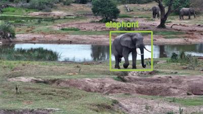 Detected: "elephant" at [Tembe, Africa](https://www.africam.com/wildlife/tembe-live-wildlife-channel/)