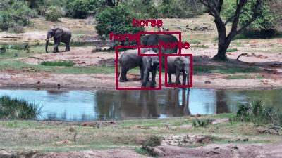 Detected: 'horse' at [Tembe, Africa](https://www.africam.com/wildlife/tembe-live-wildlife-channel/)