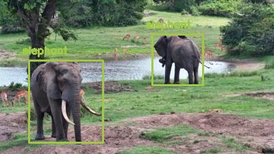 Detected: 'elephant' at [Tembe, Africa](https://www.africam.com/wildlife/tembe-live-wildlife-channel/)