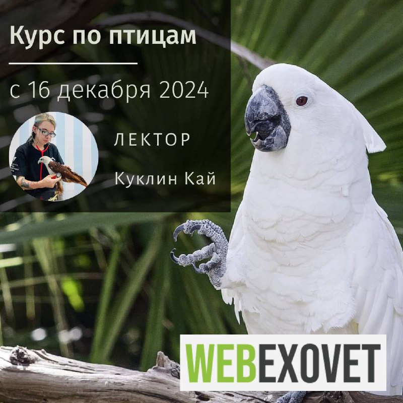 WebExoVet - Online school for Exotic …