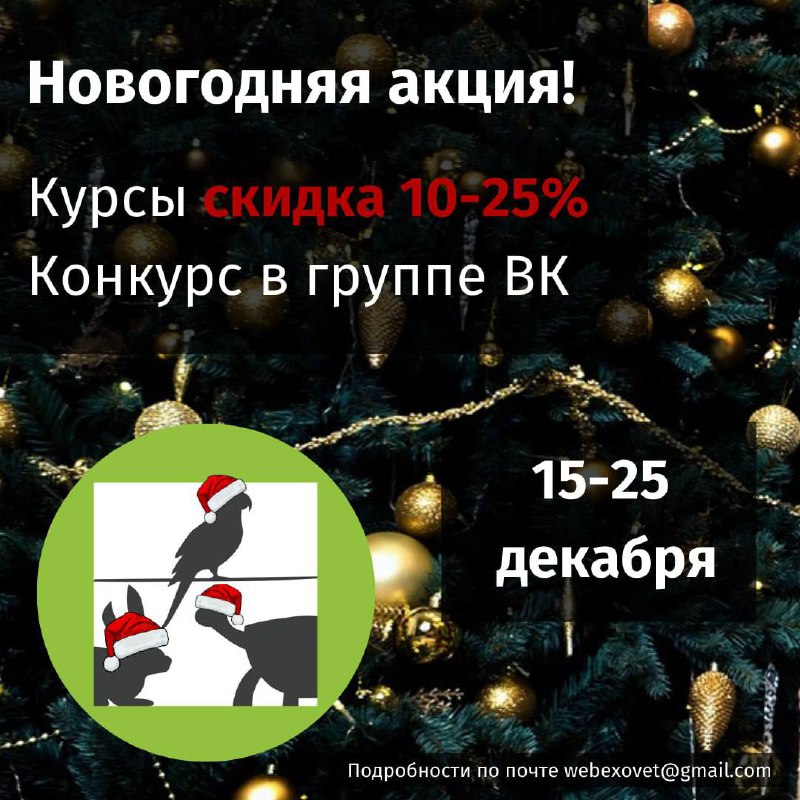 ***❗️*****Дорогие коллеги и студенты! В честь …