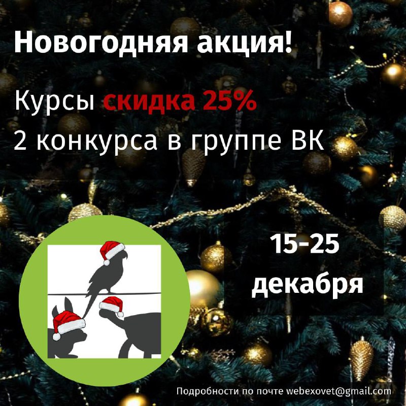 ***❗️*****Дорогие коллеги и студенты! В честь …