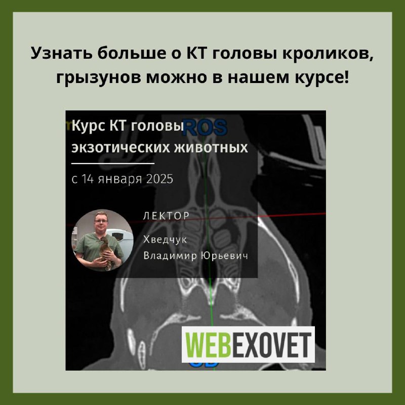 WebExoVet - Online school for Exotic …