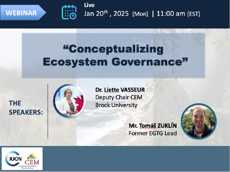 Webinar: