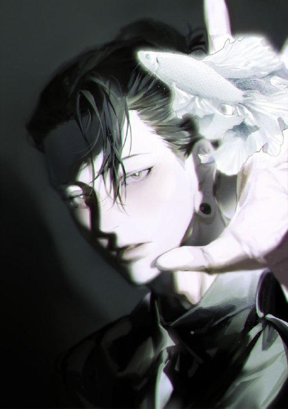 animeGo