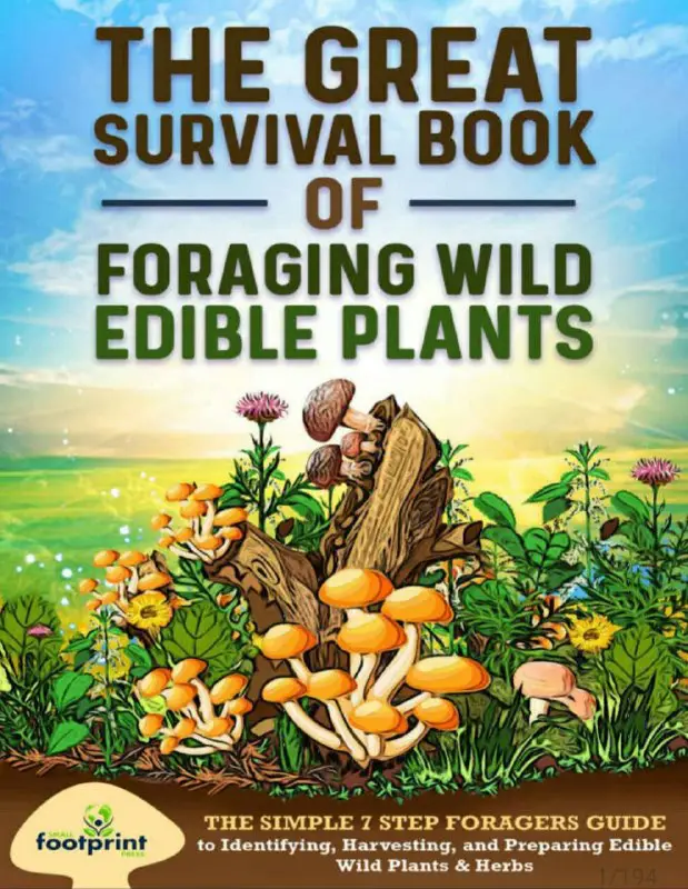 The Great Survival Book Of Foraging …