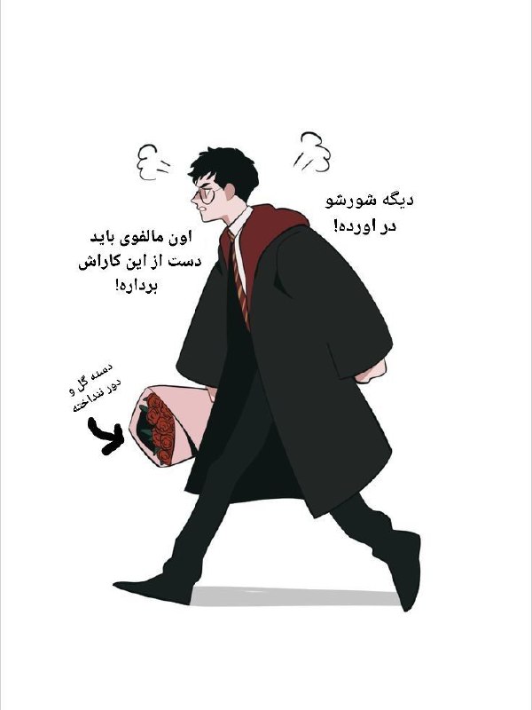 𝄢 Drarry Shippers ࿐