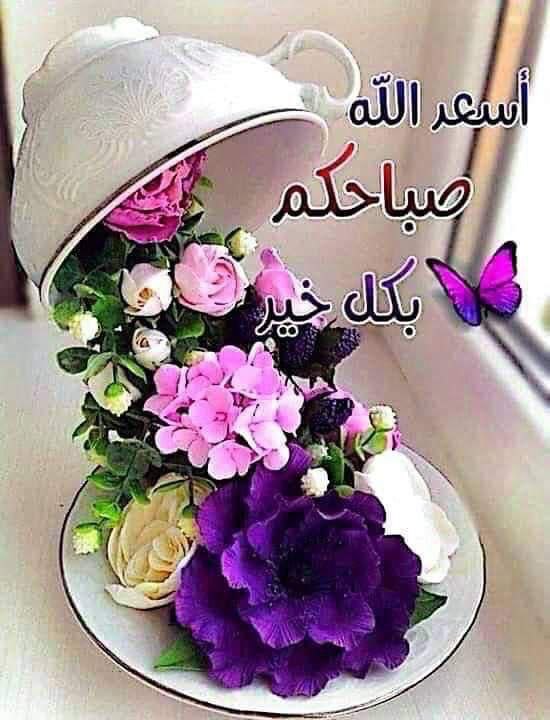 من أراد