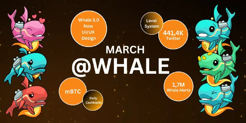 *****🐳**********🚨*** Atualização de Fevereiro do** [**@Whale**](https://t.me/Whale) …