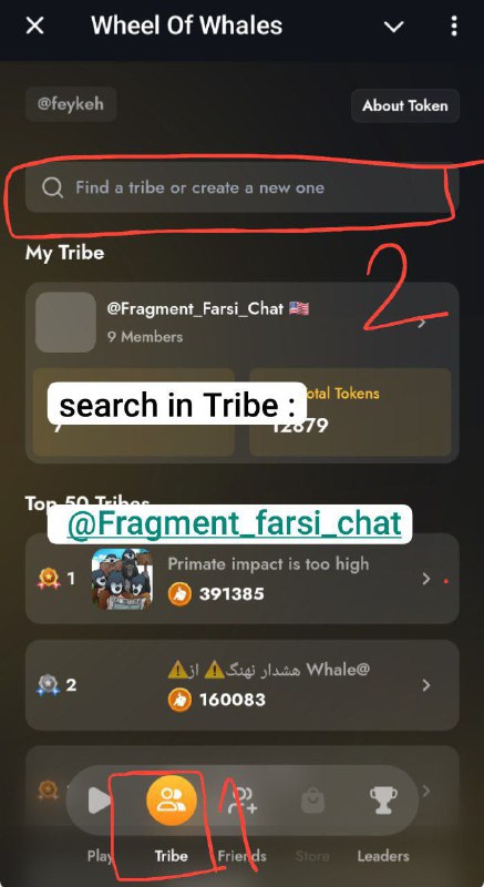 search in Tribe : [@Fragment\_farsi\_chat](https://t.me/Fragment_farsi_chat)