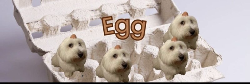 ***🔥***$Egg