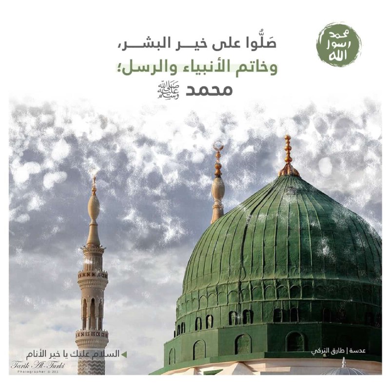 حالات الواتساب⛅🌳 🕊️