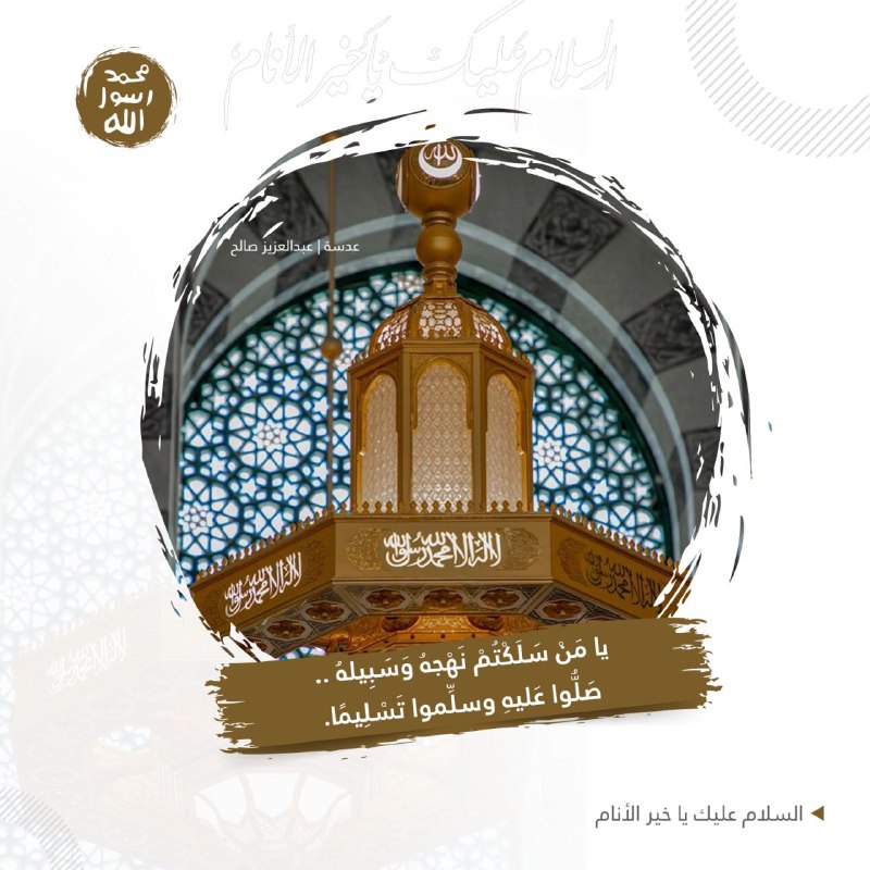 حالات الواتساب⛅🌳 🕊️