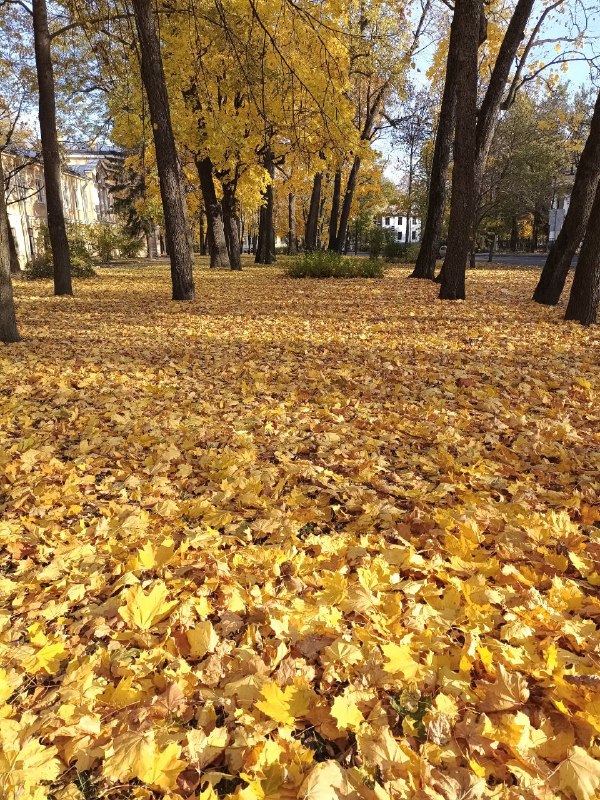 Белые княжны