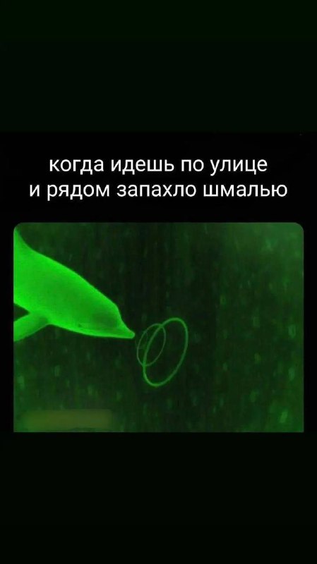 ка́торжное бытие́