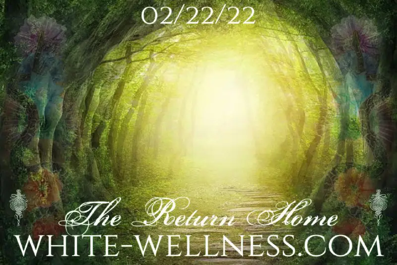 The new White Wellness is here! …