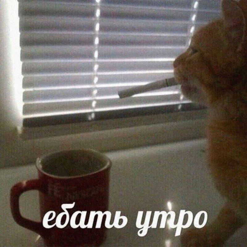 а ну проснулись епта