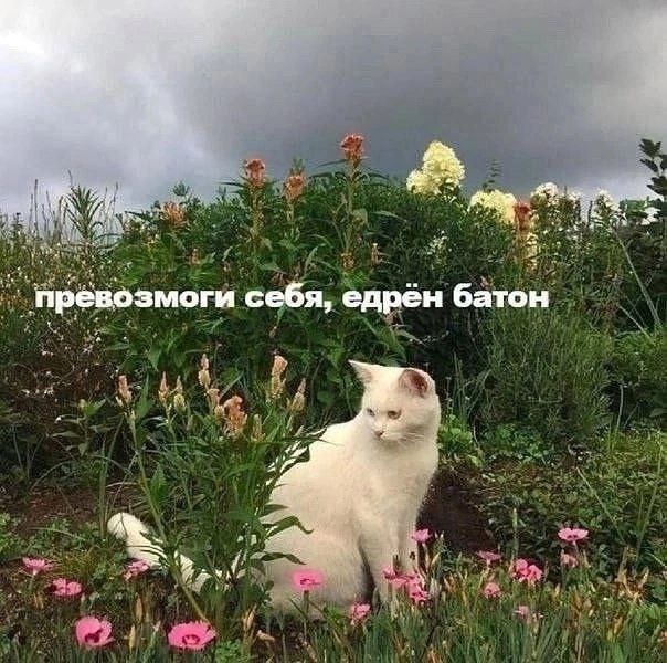 и ляг спать