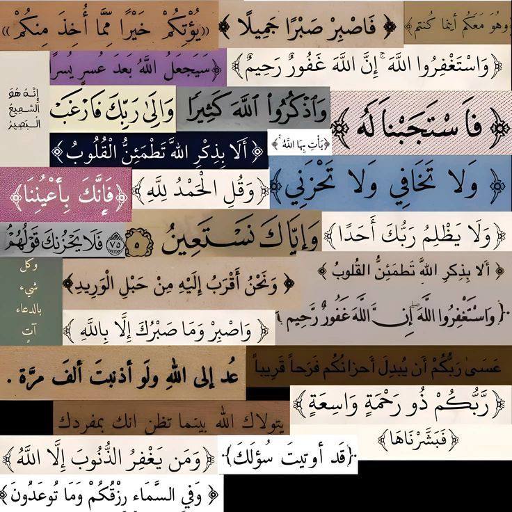 القران الكريم🤍