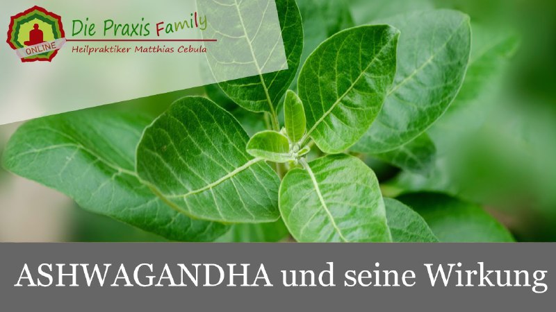 Wie die Natur heilen hilft