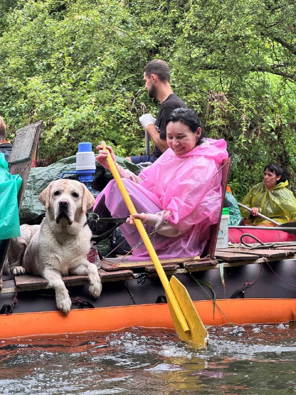 "Wild World"🛶🏕 Сплавы походы в отличной …