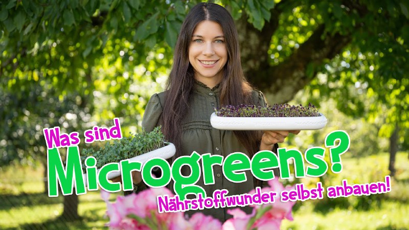 ***🌱*** Warum du diese Nährstoffwunder unbedingt …