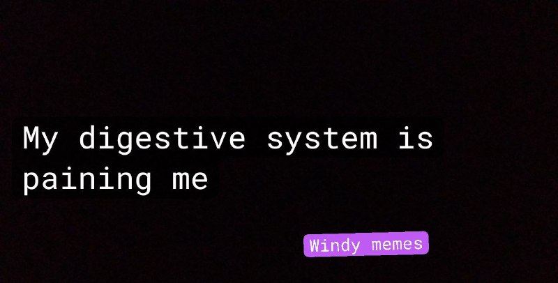 Me yem y3 me ya