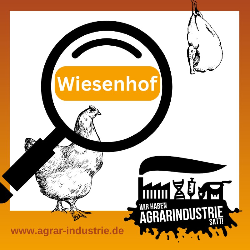 ***🐔*** „Unser hoher Anspruch an uns …