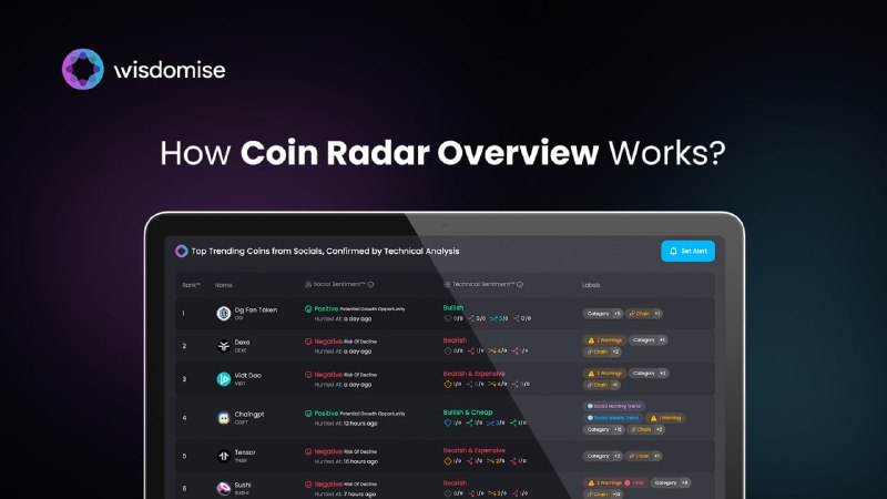 ***💻*** How Coin Radar Overview Works?