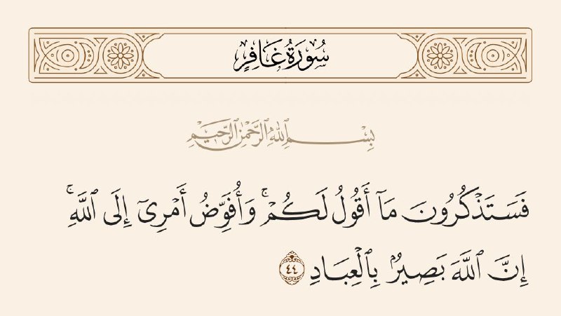 دِفءُ اللقاء"