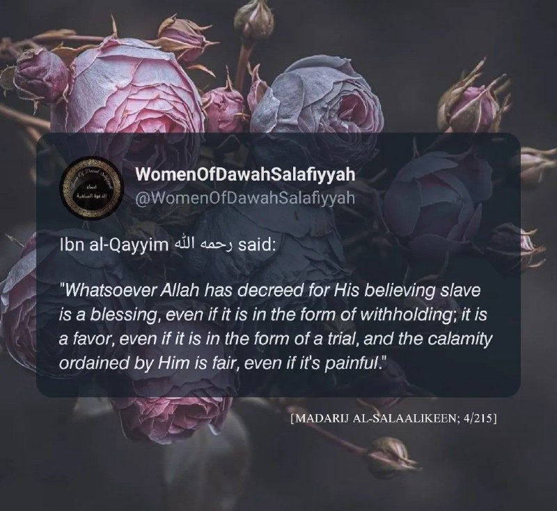 Women of Dawah Salafiyyah