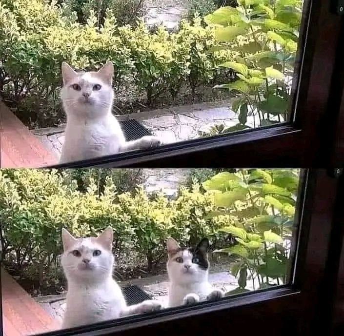 -هل أبدو لك لطيفاً