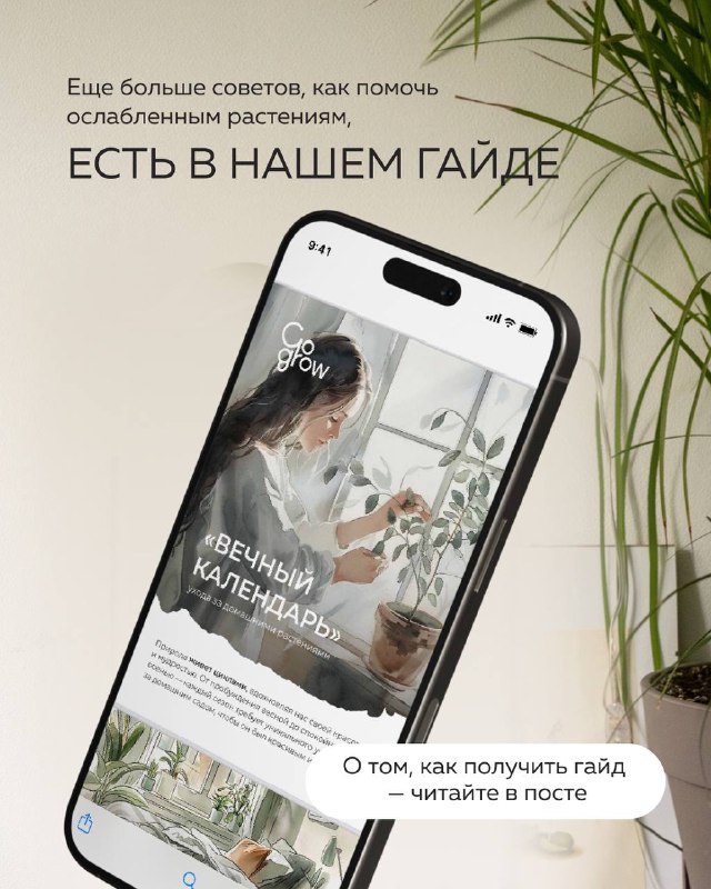 WOODLED включите свет