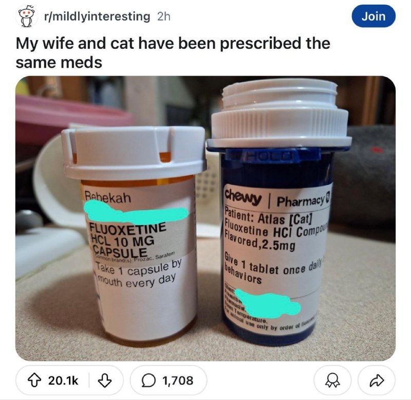 Antidepressant for cats? ***😐***