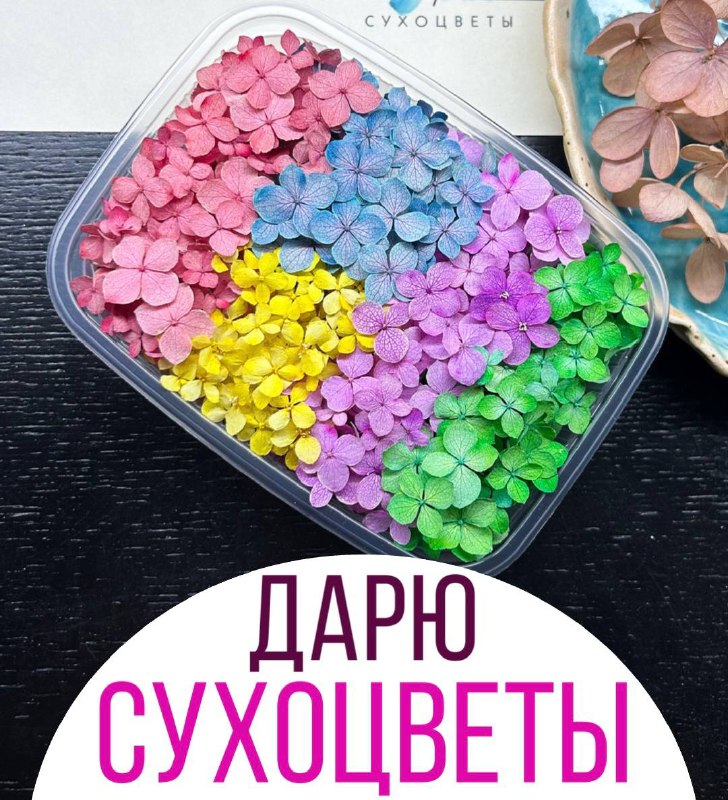 Дарю сухоцветы ***🎁***