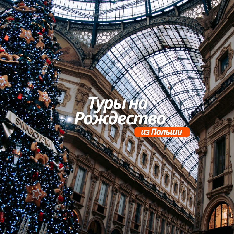 Расписание туров на Рождество из Польши***🎄***