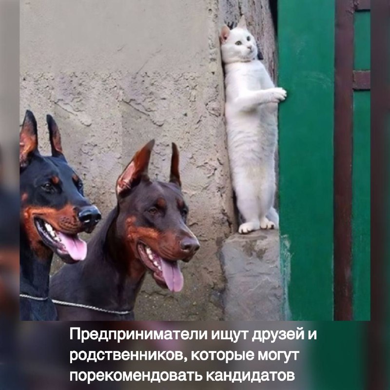 HR на острие ножа