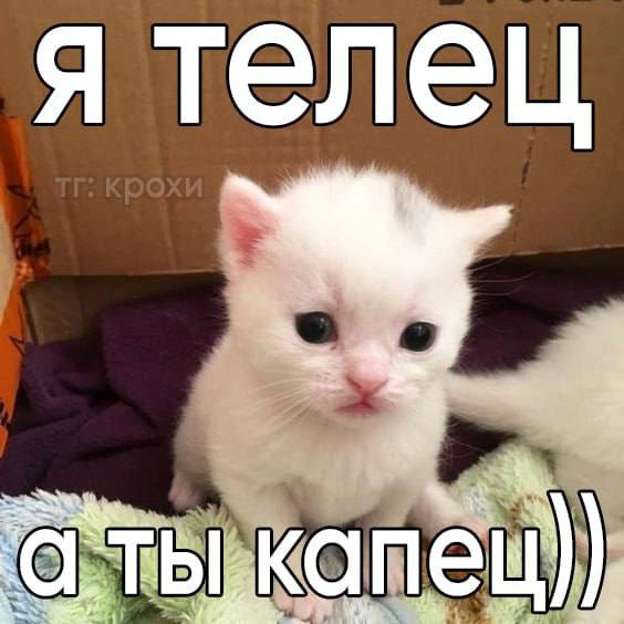 **Взято из:** [**крохи**](https://t.me/+qmY55yR5vHphYjBi)*****😴**********😴*****