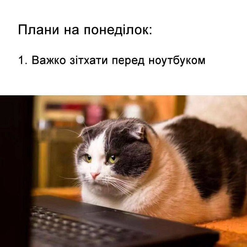 [Telegram](https://t.me/WTF_UKR) ***🐈*** | [Twitter](https://twitter.com/whatafactukr) ***✅***