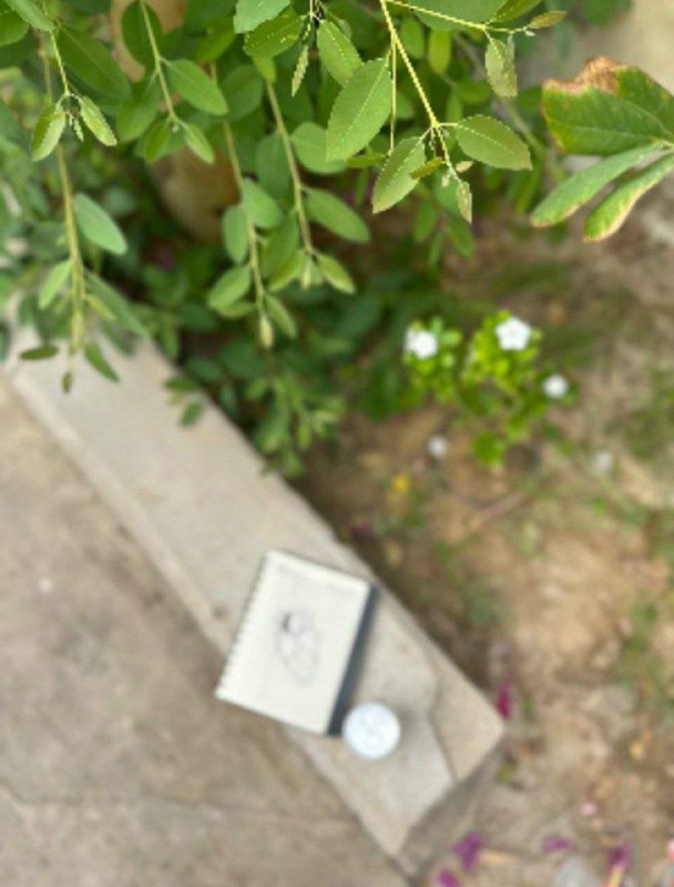 زَهْرَاء