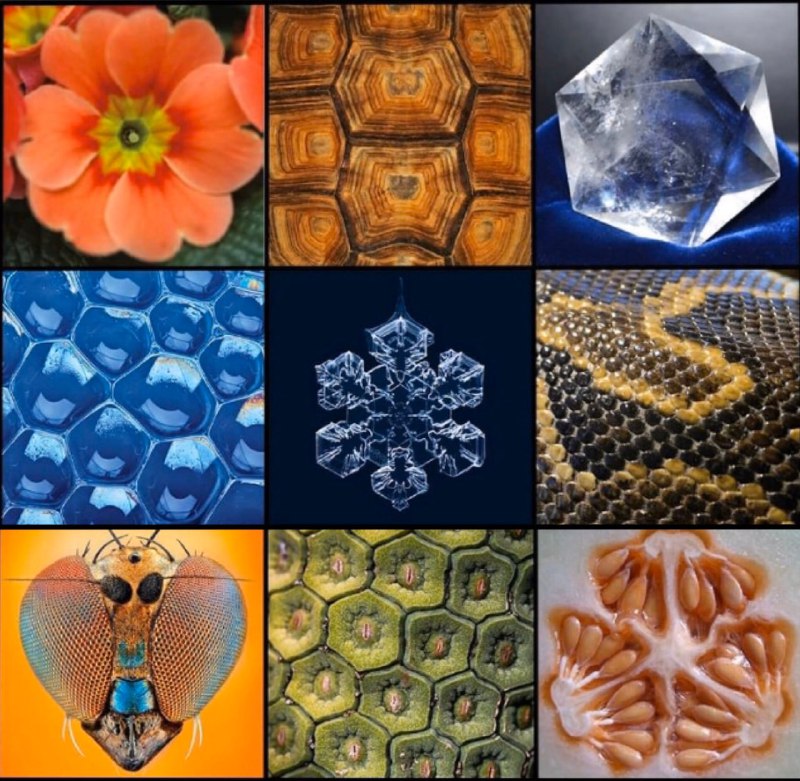 Die Heilige Geometrie ist überall in …