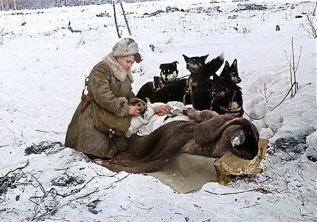 Советская санитарка готовит к отправке на …